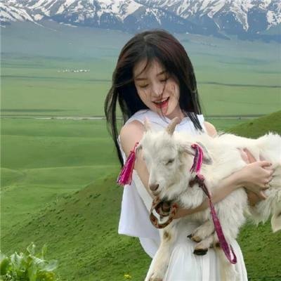 隆美尔宝藏